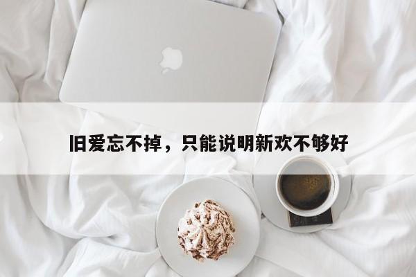 旧爱忘不掉，只能说明新欢不够好